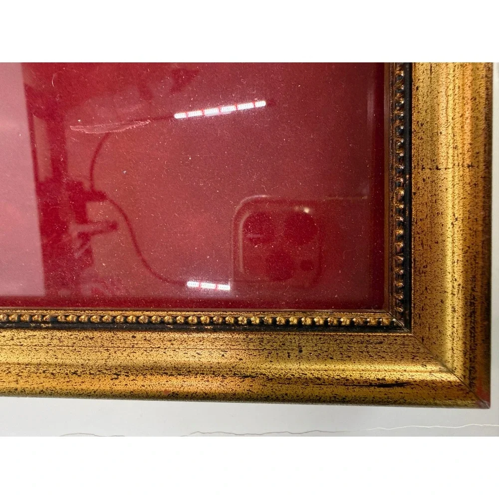 Vtg Gold Ornate Picture Frame Red Velvet Mat Shadow Box Display Approx 8x7x2
